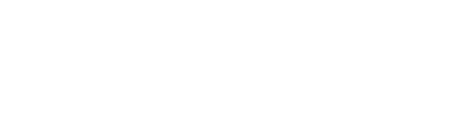 Logo Tolesul