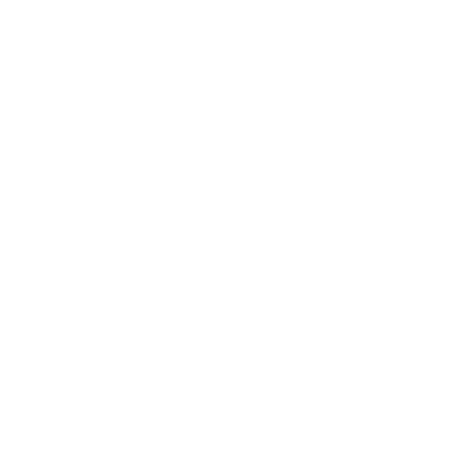Logo Brazil Boots